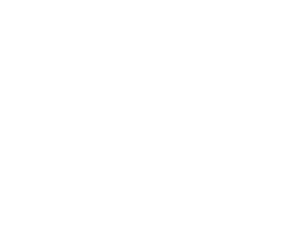 Spinz.agency